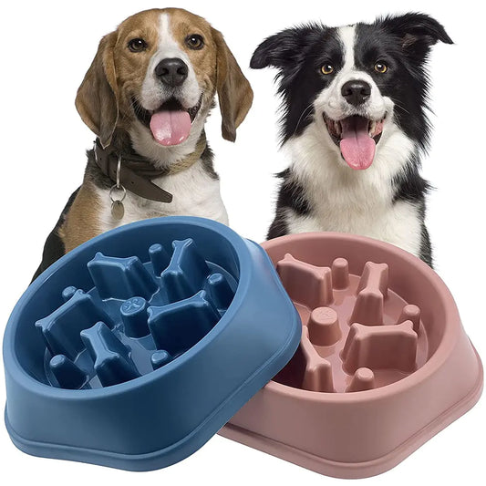 Slow Feeder Pet Bowl